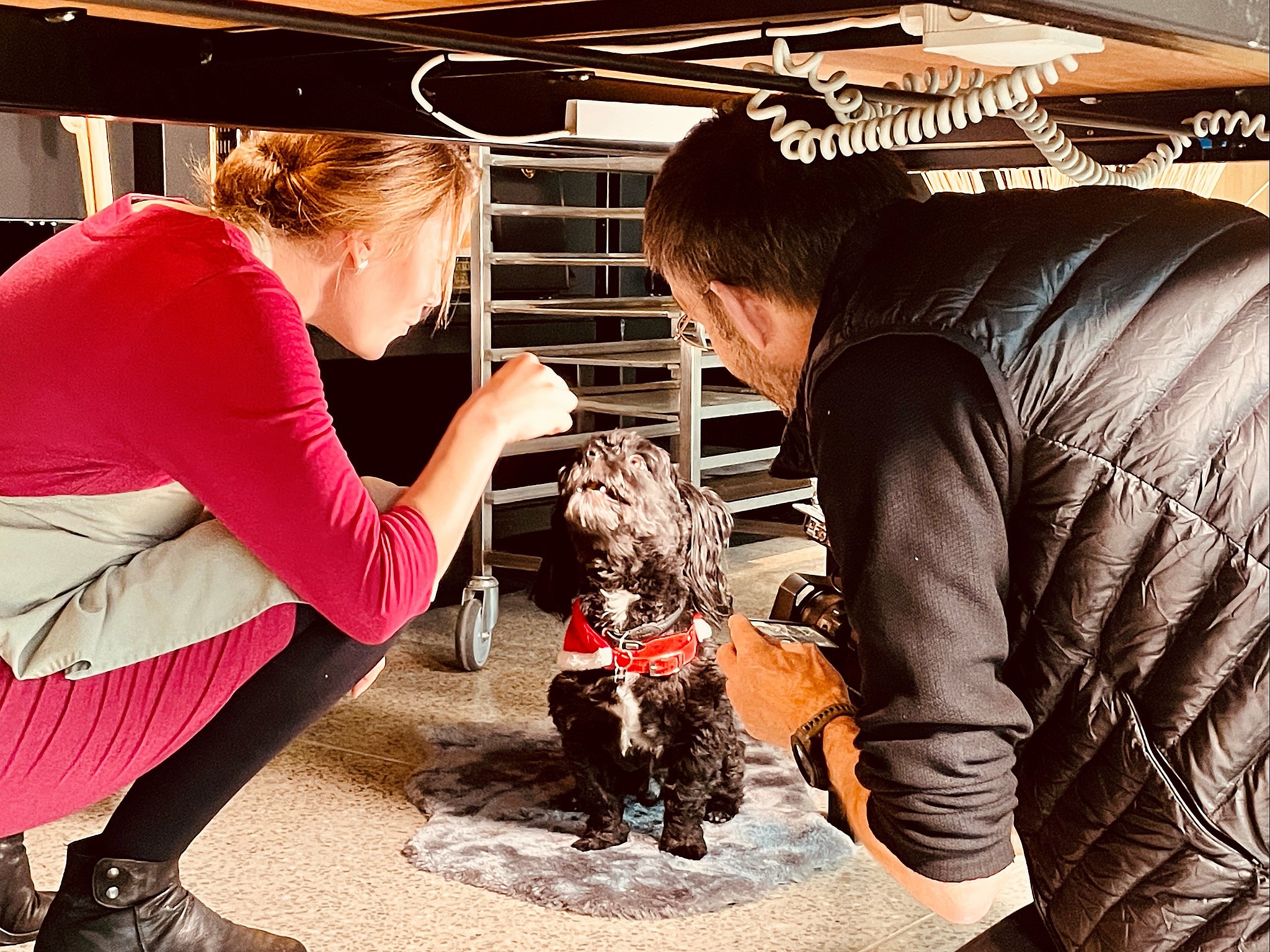 Hunden Buster er med i julekøkkenet.