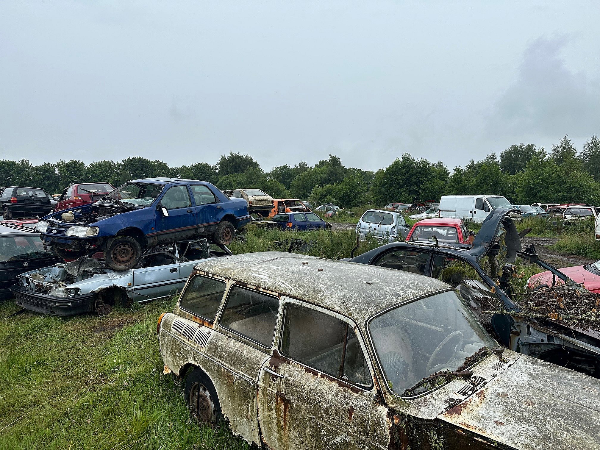 Omstridt skrothandler biler: - Kærligheden forsvinder ikke, selvom ruster | TV2 Nord