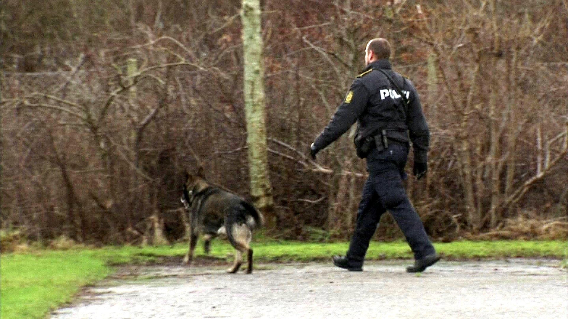 politi hunde politihund hundepatrulje politibetjent