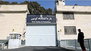 Nordjyde løsladt efter syv måneder i iransk fængsel