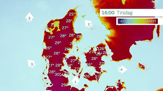 Temperaturprognose tirsdag klokken 16.00. Foto: TV 2 Vejret