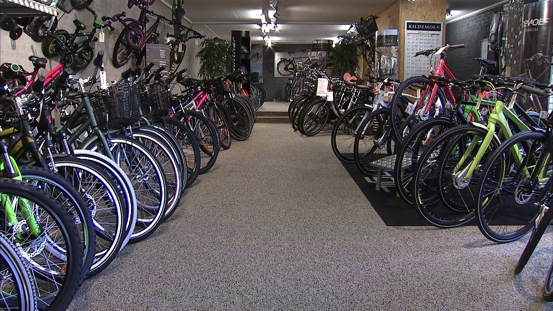 Cykelforretninger er pressede - supermarkeder og lokker med priser | TV2 Nord