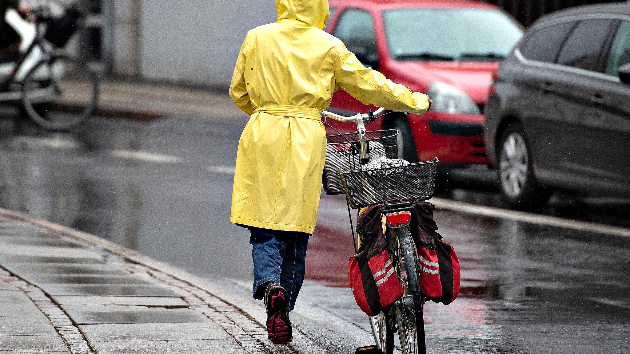 Tirsdag byder på risiko for regn - her får man brug en paraply i tasken | TV2 Nord