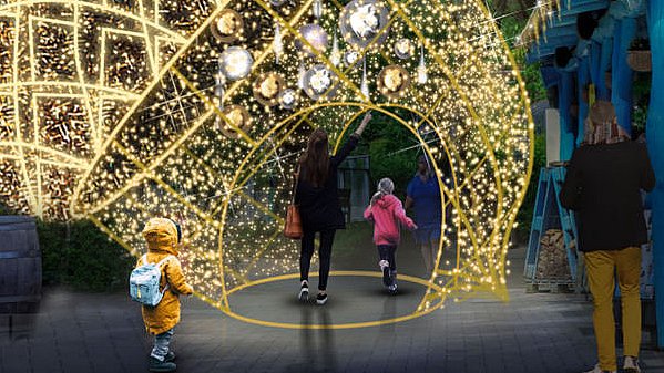 Forfatning øverst Virkelig Gigantisk lysfest: 250.000 julelys i Aalborg Zoo | TV2 Nord