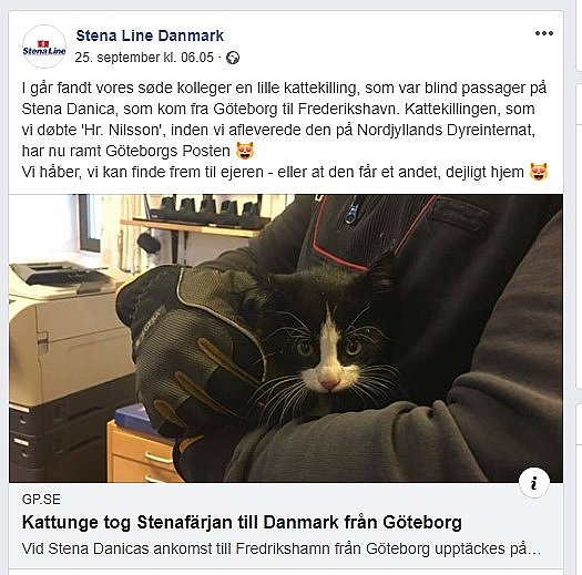 betyder brydning fure Nuttet blind passager: 11-uger gammel killing tog færgen til Frederikshavn  | TV2 Nord
