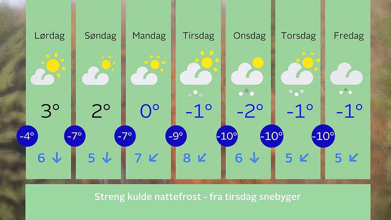 Syvdøgnsskema fra 25. november til 1. december. Udsigt til tocifrede frostgrader.