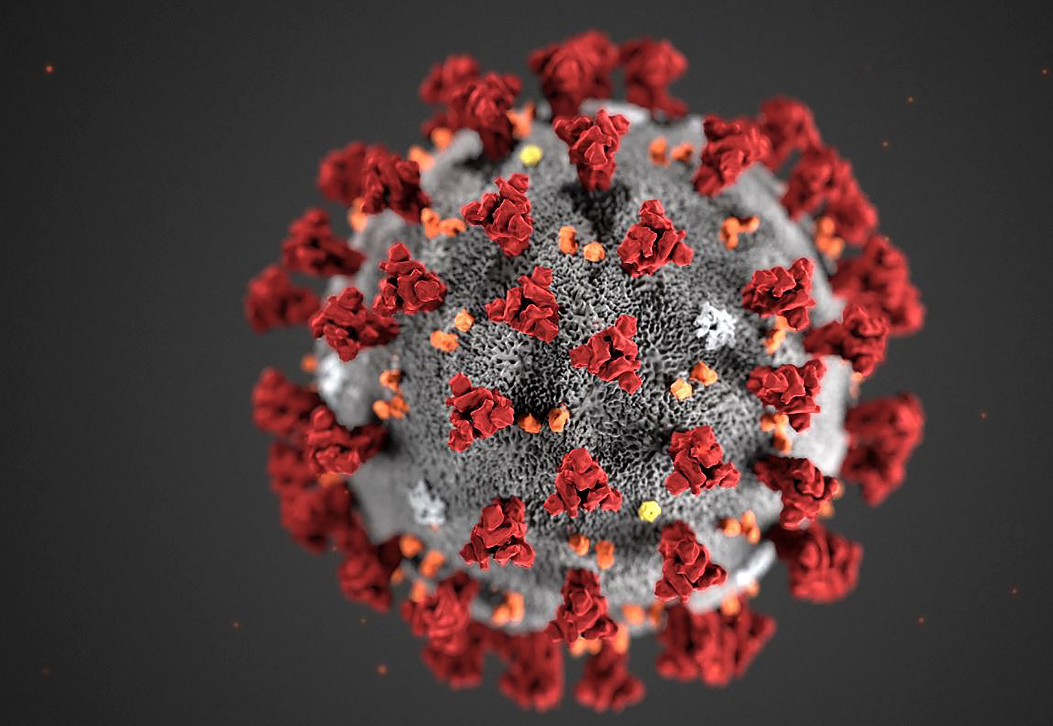 270220 Den frygtede coronavirus blev konstateret hos en dansker første gang 27. februar 2020.
