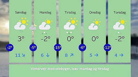 Femdøgnsprognosen fra 14. til 18. januar.