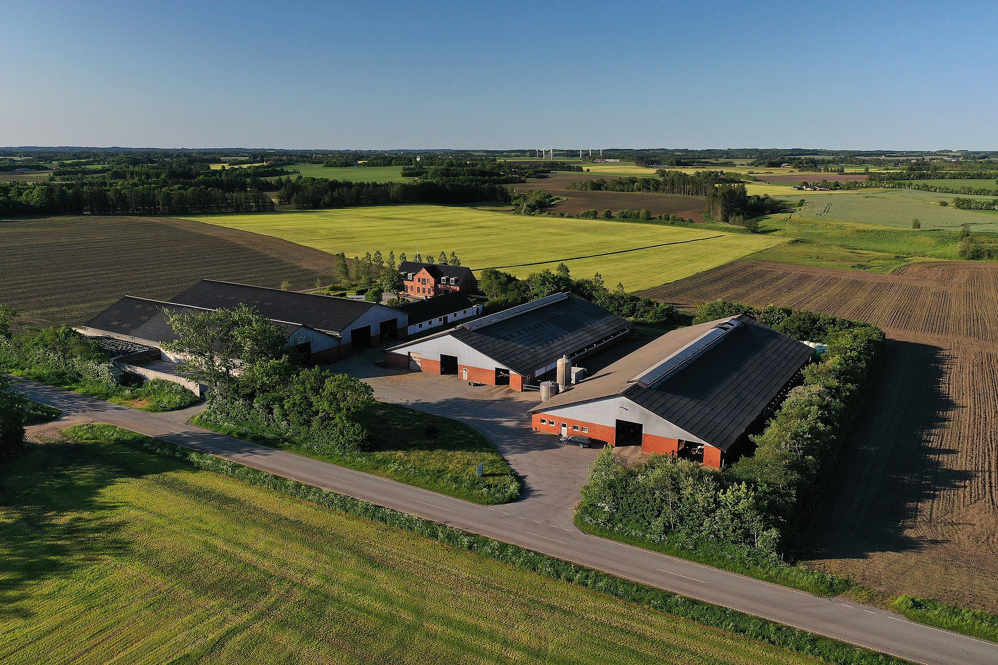 Her ses Christian Pedersens gård lidt uden for Bindslev tidligt fredag morgen.