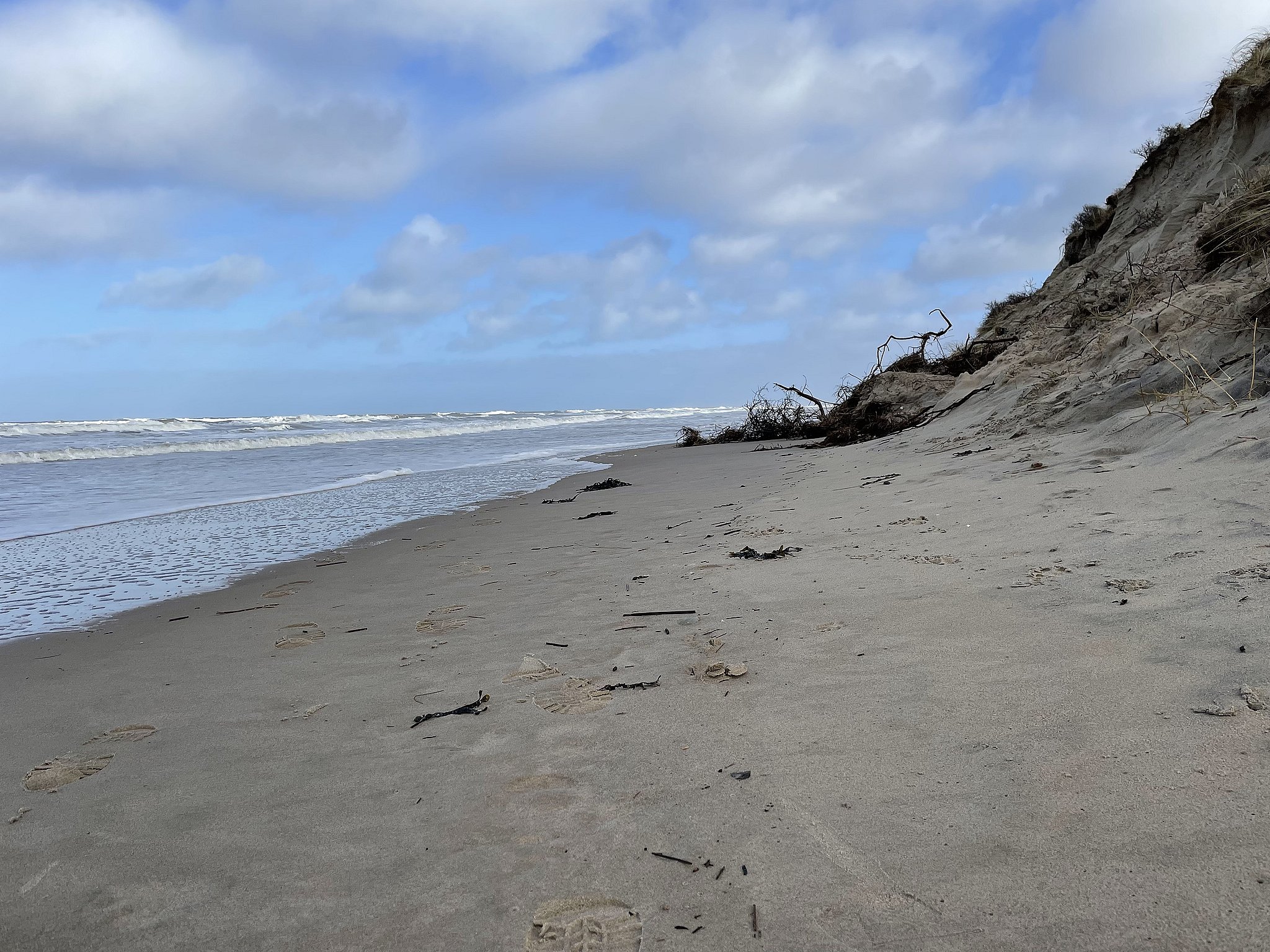 Der forsvinder omkring 10 meter af stranden ved Tversted hvert år.
