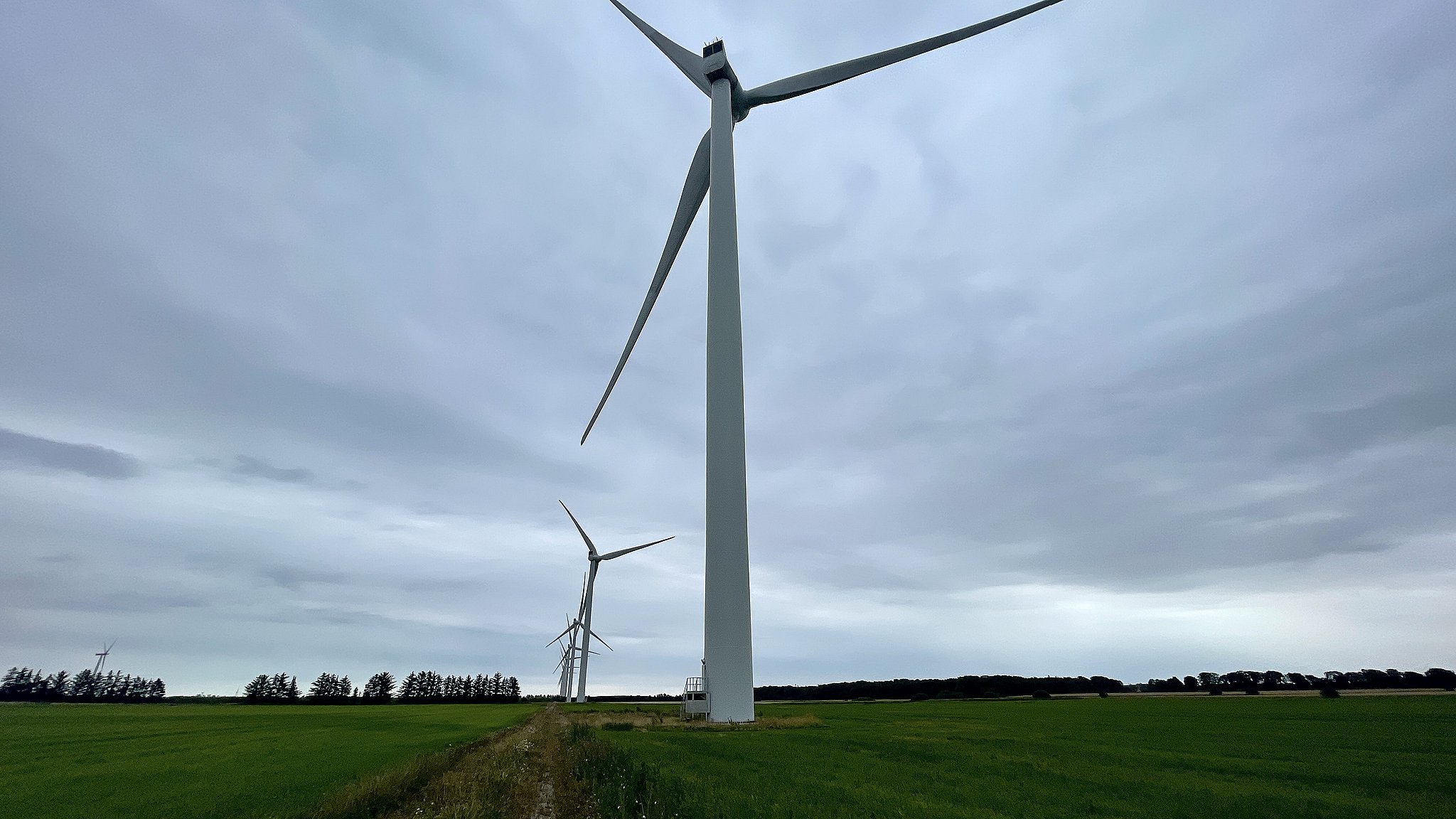 Det er mere fordelagtigt at stoppe vindmøller frem for kraftværker, da vindmøller stopper inden for næsten et minut. De nyere vindmøller kan styres af Energinet direkte fra Fredericia.
