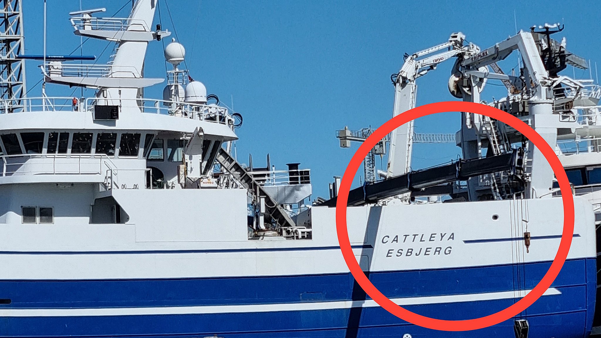 Barnlig Vært for Handel Tonstung kran væltede ned over skib | TV2 Nord