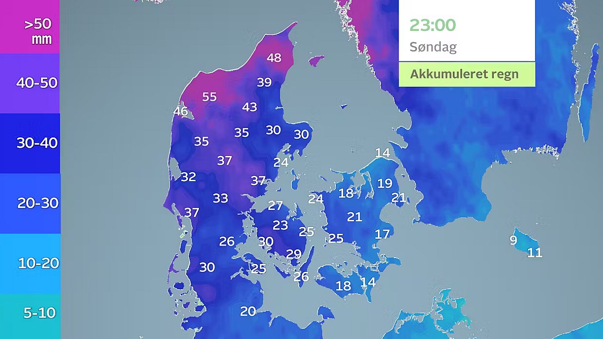 Akkumuleret regn i næste uge. I Nordvestjylland kan der falde over 50 millimeter regn.